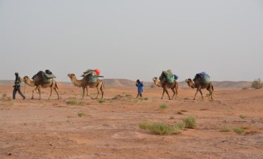 8 days Marrakech to Zagora: Trekking 5 days in the desert