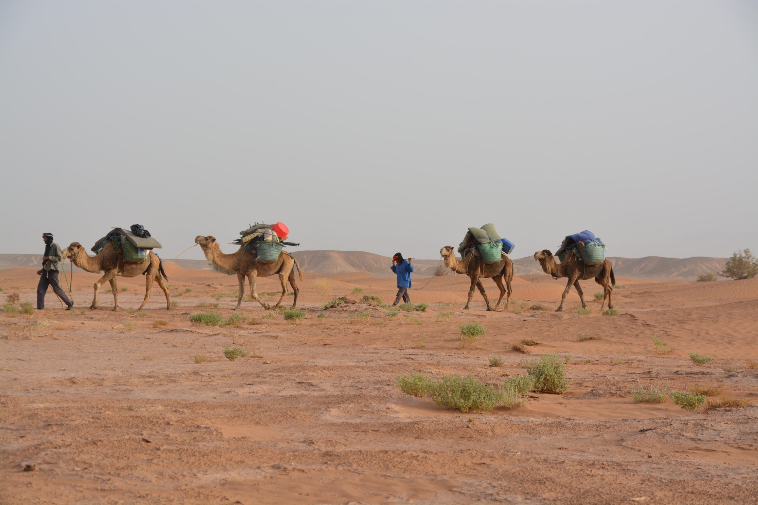 8 days Marrakech to Zagora: Trekking 5 days in the desert