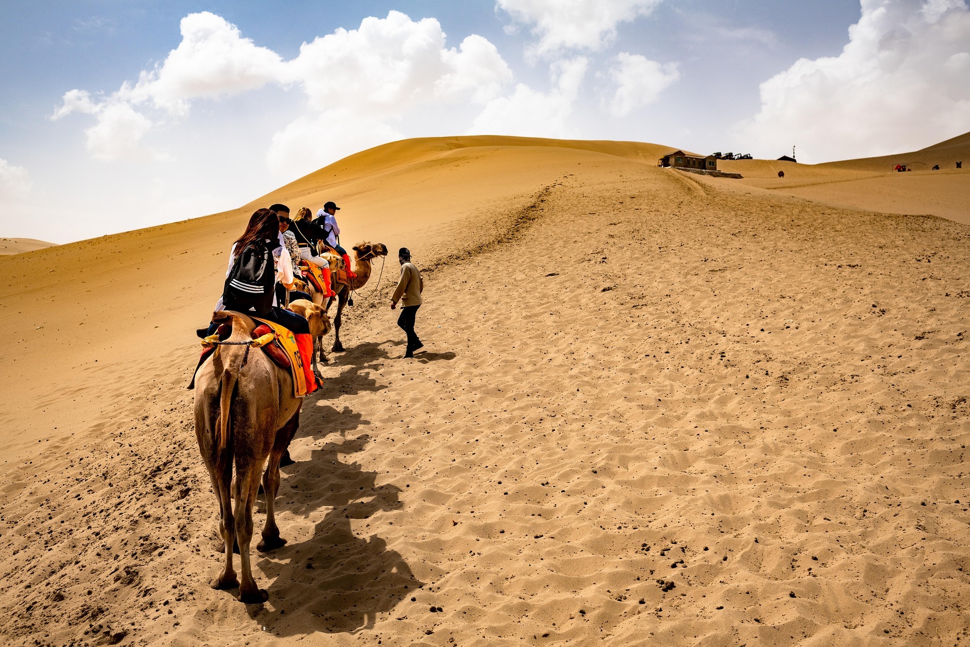 2 days 1 night camel trekking tour in Zagora desert