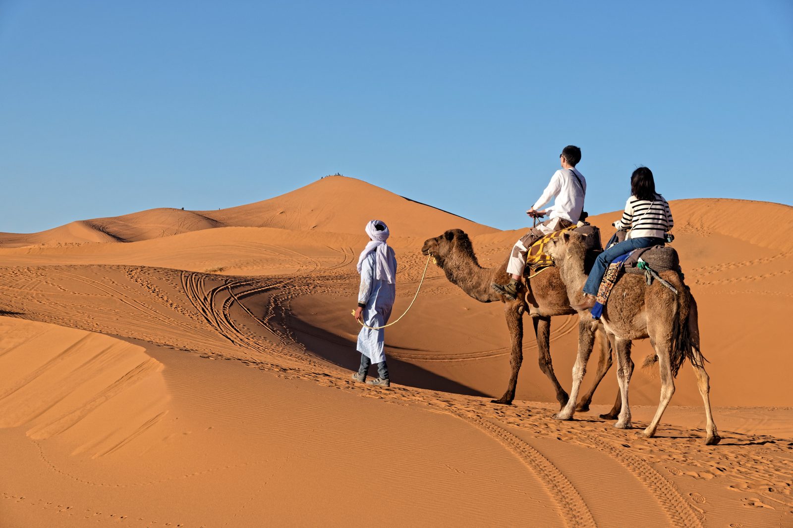 Morocco Sahara Desert and camel experience
